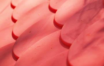 Beeswing plastic roof costs