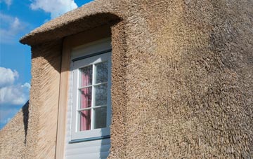 Beeswing thatch roof disadvantages